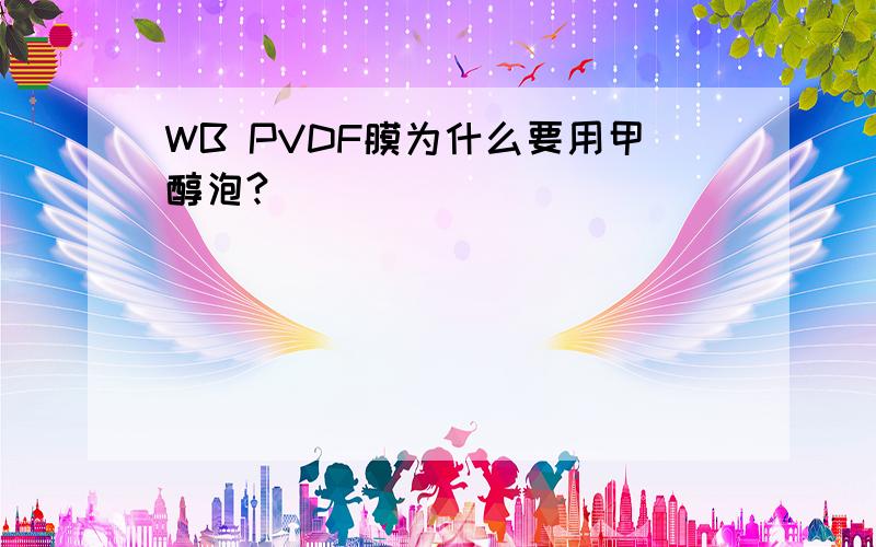 WB PVDF膜为什么要用甲醇泡?