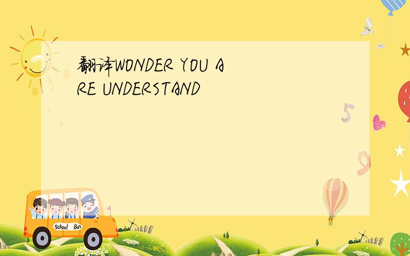 翻译WONDER YOU ARE UNDERSTAND