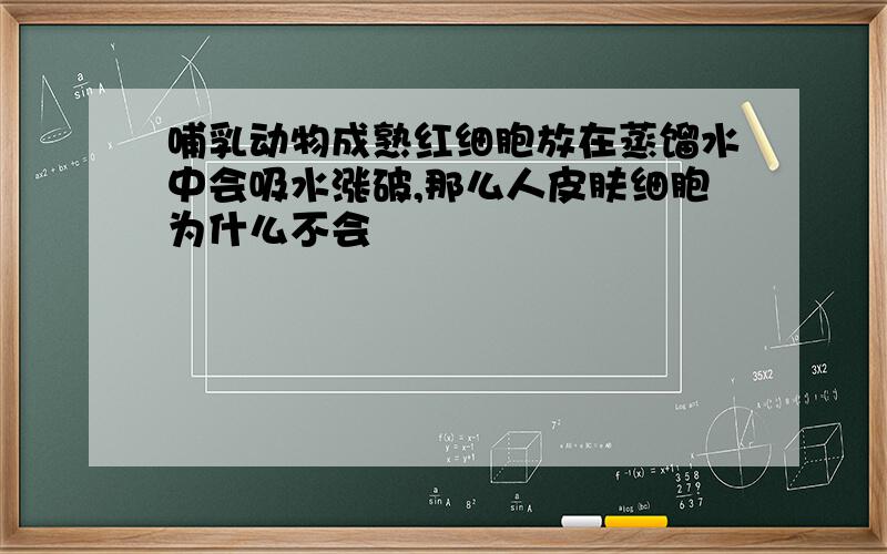 哺乳动物成熟红细胞放在蒸馏水中会吸水涨破,那么人皮肤细胞为什么不会