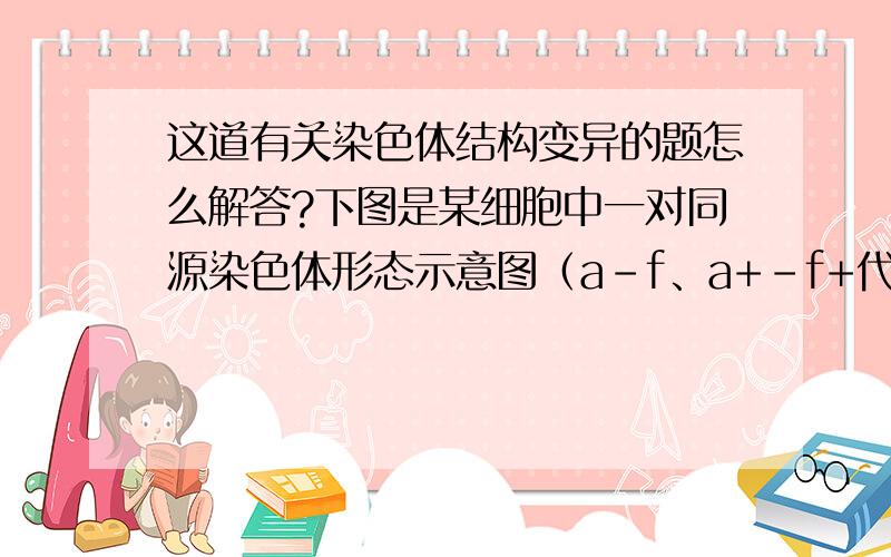 这道有关染色体结构变异的题怎么解答?下图是某细胞中一对同源染色体形态示意图（a－f、a+－f+代表基因）.下列有关叙述．不正确的是(     )  A．该对染色体构成一个四分体,含4个DNA分子  B