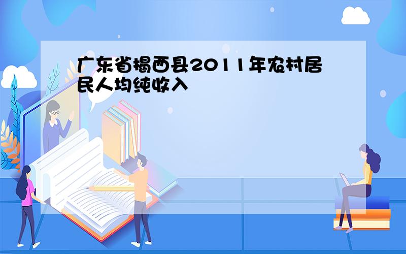 广东省揭西县2011年农村居民人均纯收入