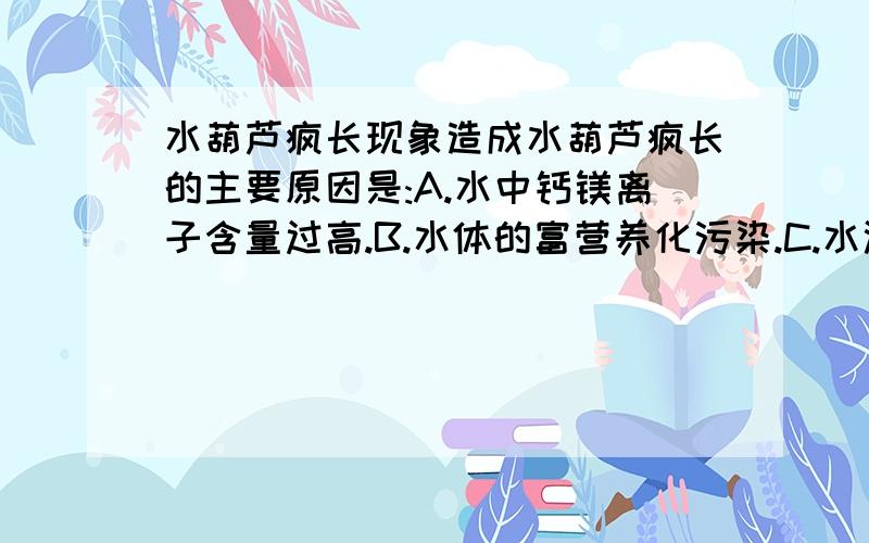 水葫芦疯长现象造成水葫芦疯长的主要原因是:A.水中钙镁离子含量过高.B.水体的富营养化污染.C.水温升高,溶解氧增多.D.土壤污染的间接影响.