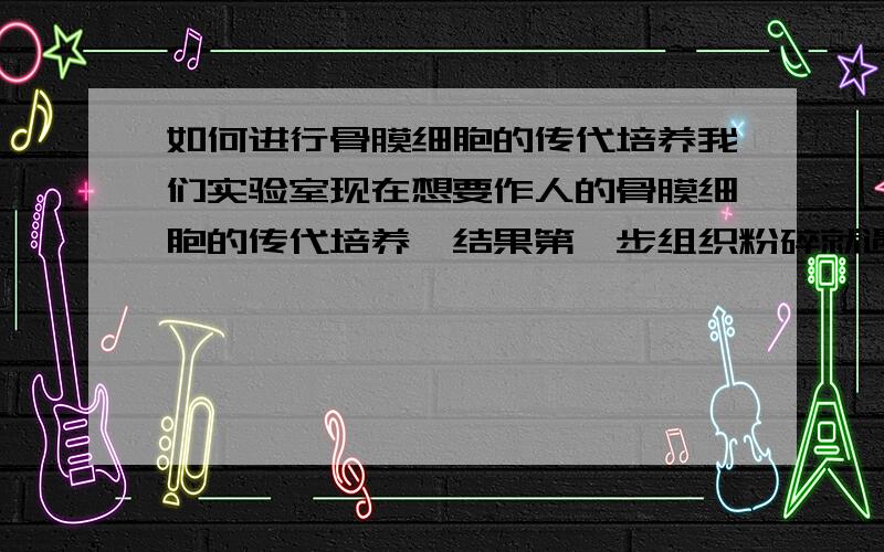 如何进行骨膜细胞的传代培养我们实验室现在想要作人的骨膜细胞的传代培养,结果第一步组织粉碎就遇到了问题,试了很多仪器都做不出来游离的细胞,下一步没有游离细胞培养也没法做,那位