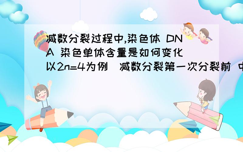 减数分裂过程中,染色体 DNA 染色单体含量是如何变化（以2n=4为例）减数分裂第一次分裂前 中 后 末 DNA 染色体 染色单体减数分裂第二次分裂前 中 后 末DNA染色体染色单体